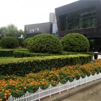 綠化養護精品展示圖